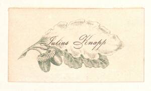 Biedermeierliche Visitenkarte von Julius Knapp zwei Eichenblätter und zwei Eichel (vom Bearbeiter vergebener Titel) von Knapp, Julius
